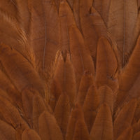Hen Saddle Patch - Brown (CBS047)