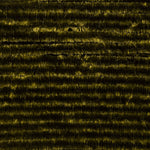 Dark Olive / Fine