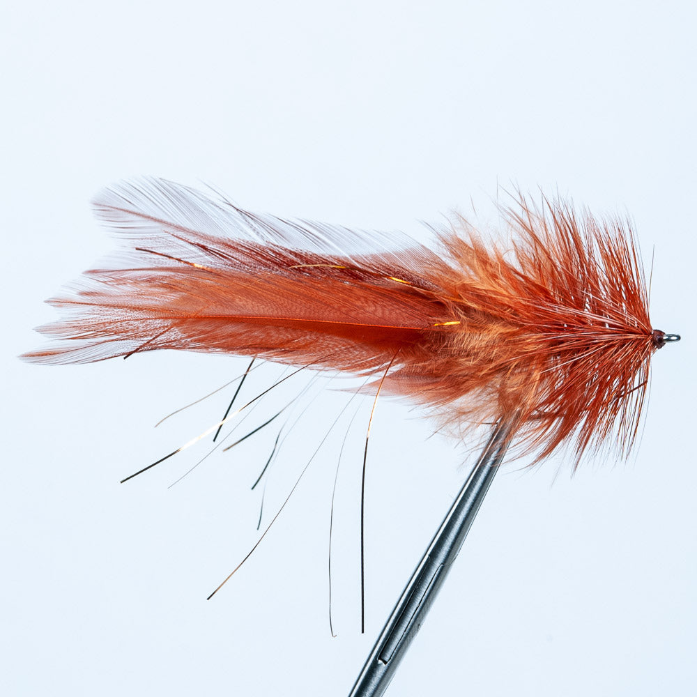 Seaducer | Orlando Outfitters