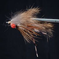 Skok's Blind Crab