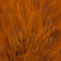 Soft Hackle Hen Saddle - Crawdad Orange (HP015)