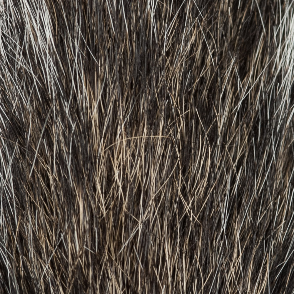 Talaoutkey Grey Squirrel Hair Quill Brushes - Size 10 Lettering Brushes From France