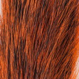 Squirrel Tail - Orange