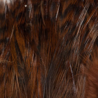 Neck Hackle, Strung - Barred Brown (NHB047)