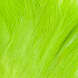 Neck Hackle, Strung - Fluorescent Chartreuse (NH509)
