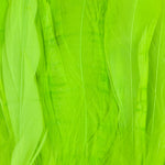 Fl Chartreuse / Long