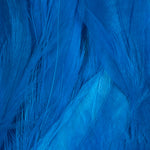 Peacock Blue / Long