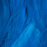 Schlappen - Peacock Blue