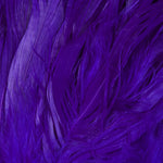 Purple / Long