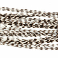 Whiting 100 Fly Pack - Grizzly