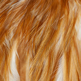 Whiting American Rooster Saddle - White Dyed Medium Ginger