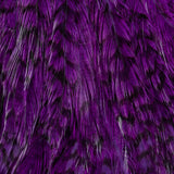 Whiting Streamer Pack - Grizzly Dyed Purple