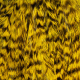 Whiting Streamer Pack - Grizzly Dyed Yellow